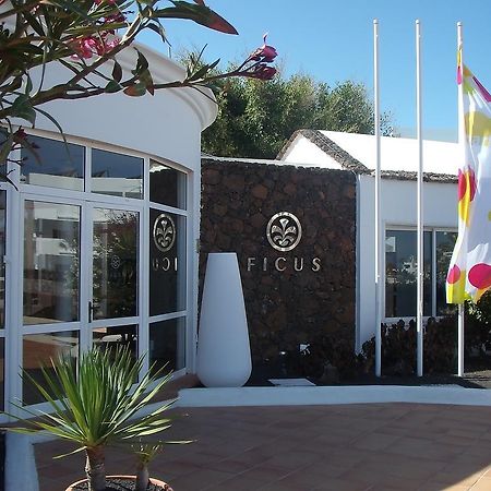 Apartamentos Ficus Costa Teguise Bagian luar foto